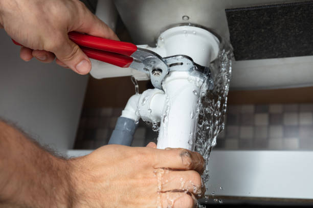 Best 24-hour water damage restoration  in Mascotte, FL