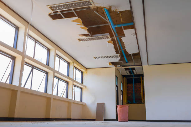 Best Carpet water damage restoration  in Mascotte, FL