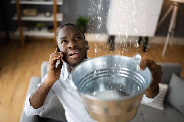 Best Local water damage restoration  in Mascotte, FL