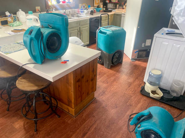 Best Ceiling water damage repair  in Mascotte, FL