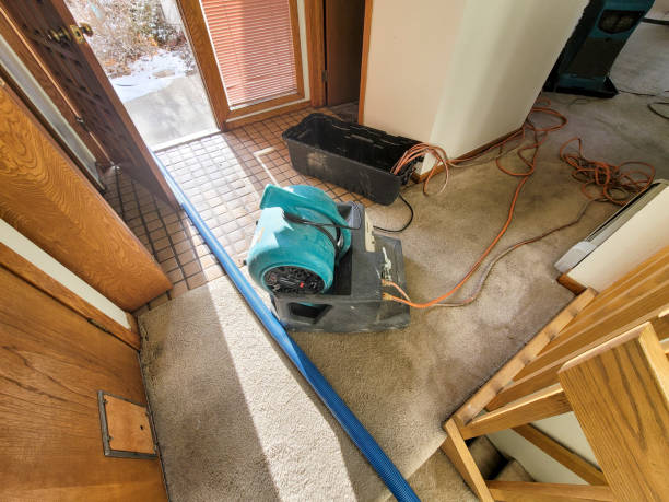 Best Emergency water damage restoration  in Mascotte, FL
