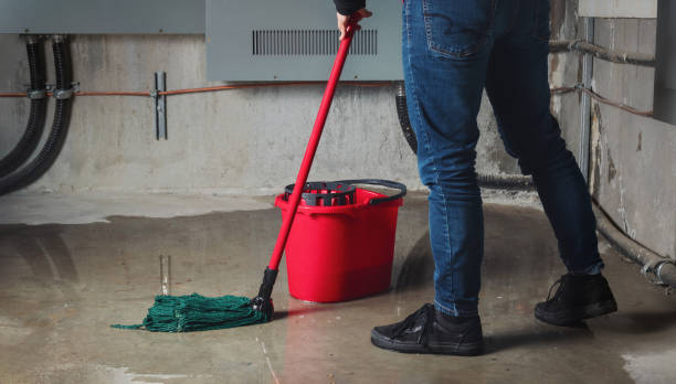 Best Water damage restoration near me  in Mascotte, FL