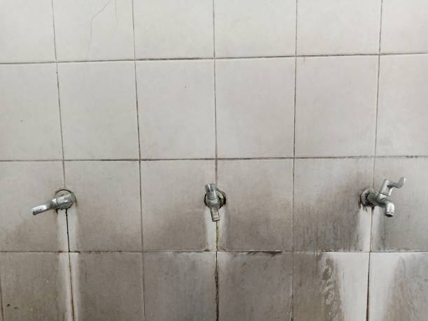 Best 24/7 water damage repair  in Mascotte, FL