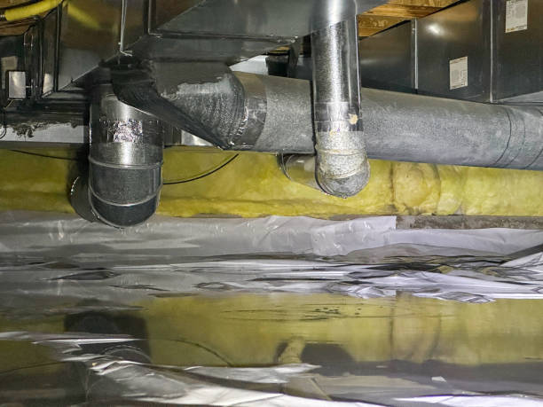 Best Commercial water damage restoration  in Mascotte, FL