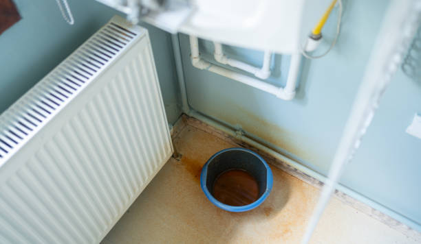 Best Residential water damage restoration  in Mascotte, FL
