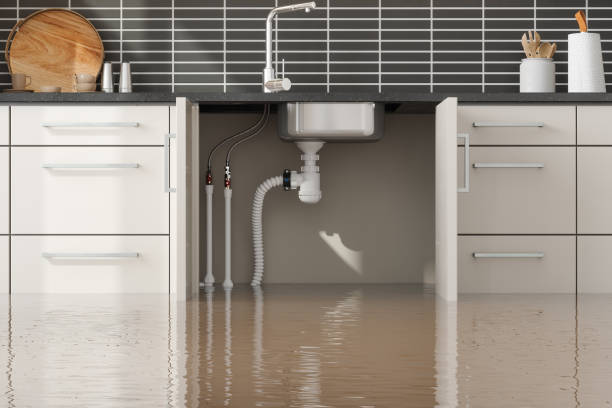 Reliable Mascotte, FL Water damage restoration Solutions