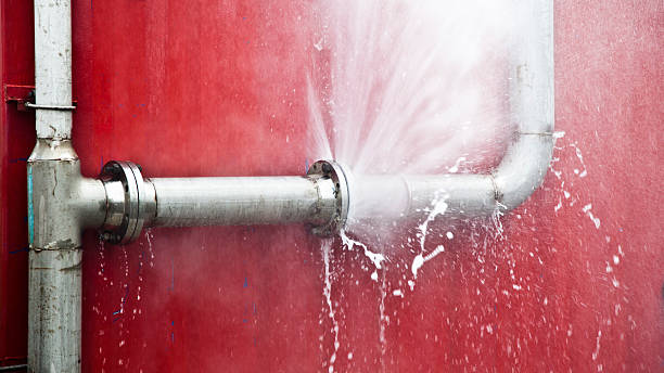 Best Carpet water damage restoration  in Mascotte, FL